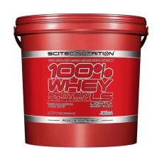 Scitec Nutrition 100% Whey Protein Professional LS, 5000 g