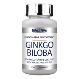 Ginkgo Biloba, 100 kapsúl